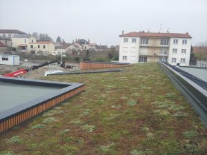 toiture vegetalisee Parthenay