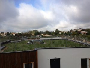 toiture vegetalisee Saintes 17